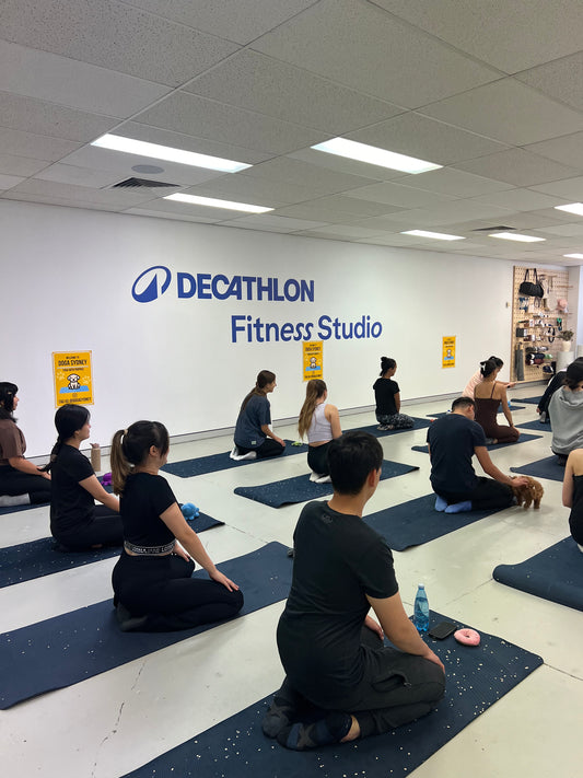 Wynyard (Sydney CBD) | Puppy Yoga