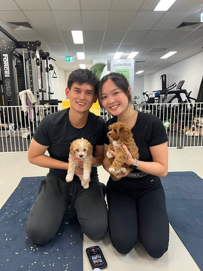 Wynyard (Sydney CBD) | Puppy Yoga