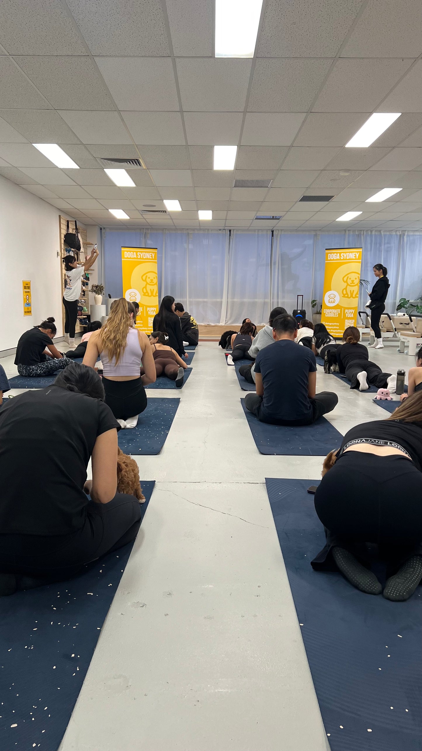 Wynyard (Sydney CBD) | Puppy Yoga