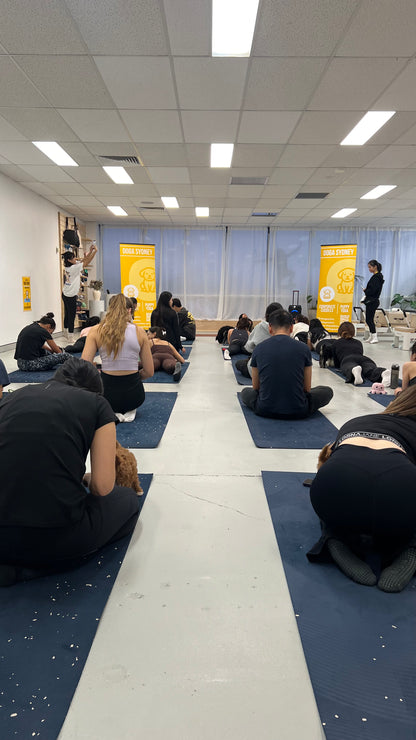 Wynyard (Sydney CBD) | Puppy Yoga