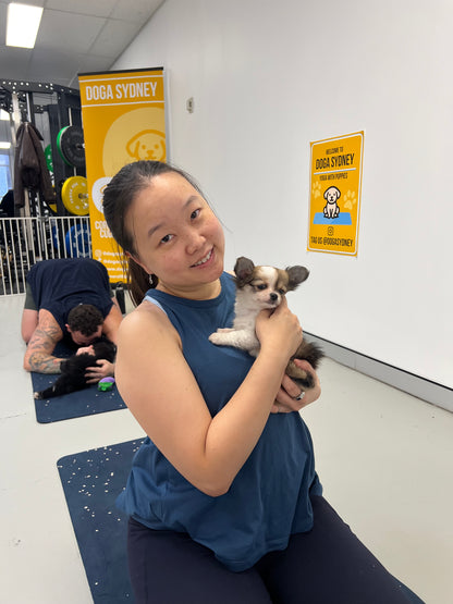 Wynyard (Sydney CBD) | Puppy Yoga