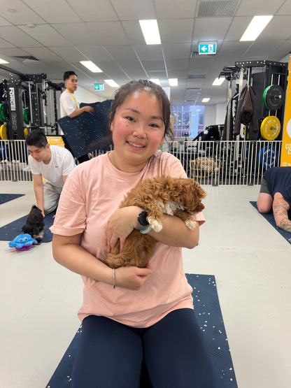 Wynyard (Sydney CBD) | Puppy Yoga