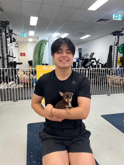 Wynyard (Sydney CBD) | Puppy Yoga