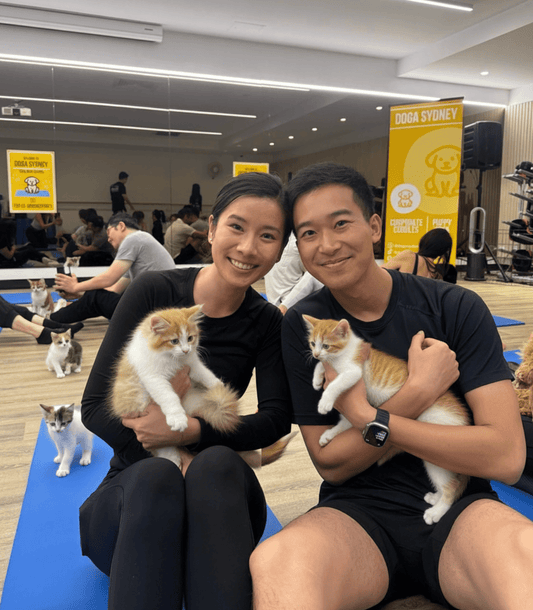 Hurstville | Kitty Yoga - Doga Sydney