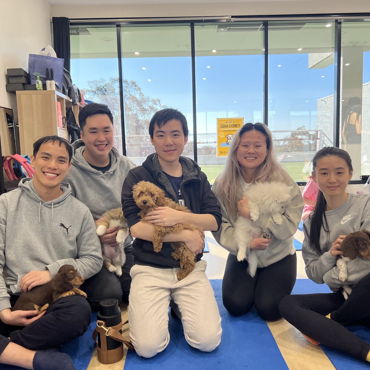 Five friends sitting on yoga mats holding puppies at a Doga Sydney class