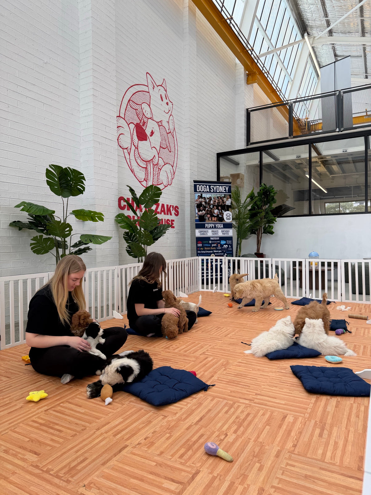 Two people on cushions in the puppy pen at Cha & Zak's Clubhouse, each holding a puppy, with more puppies on the cushions around them
